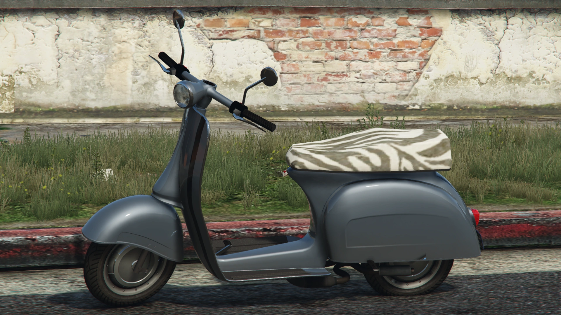 Faggio faggio2